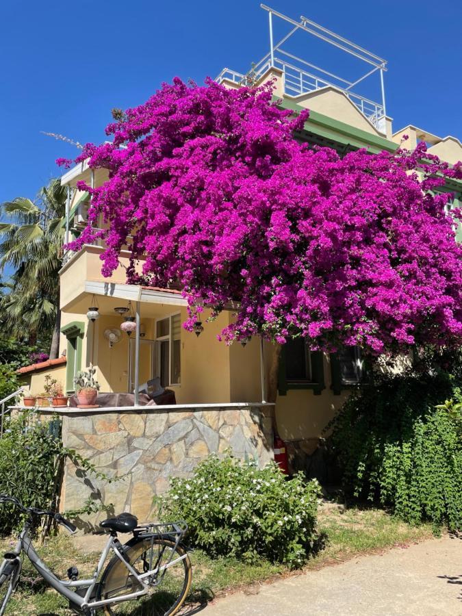 Villa Konak Club Alanya Exterior foto